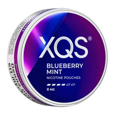 XQS Blueberry Mint can